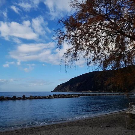 Olivetta House Holiday Монелья Екстер'єр фото
