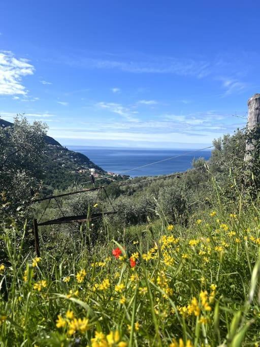 Olivetta House Holiday Монелья Екстер'єр фото