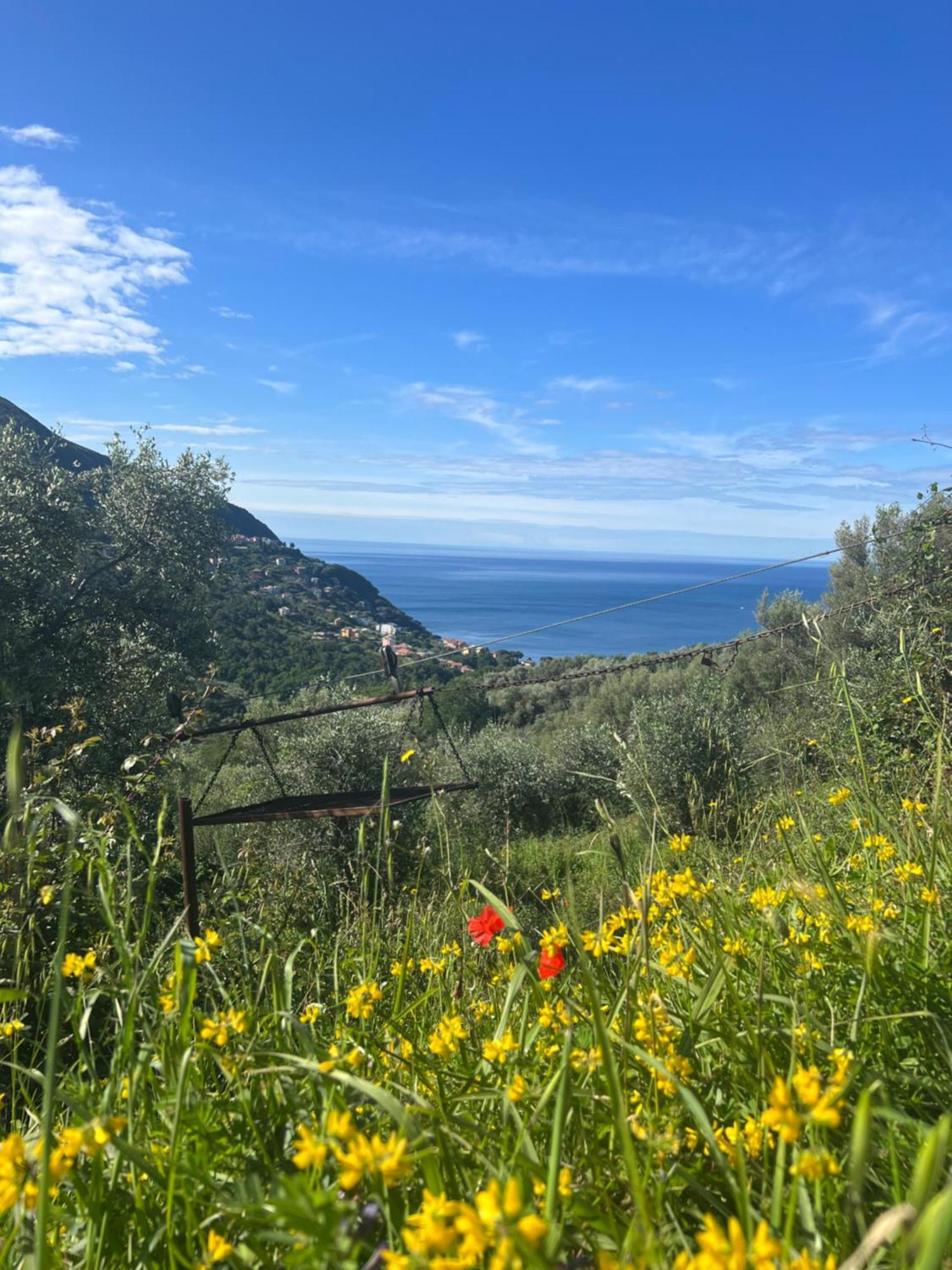 Olivetta House Holiday Монелья Екстер'єр фото