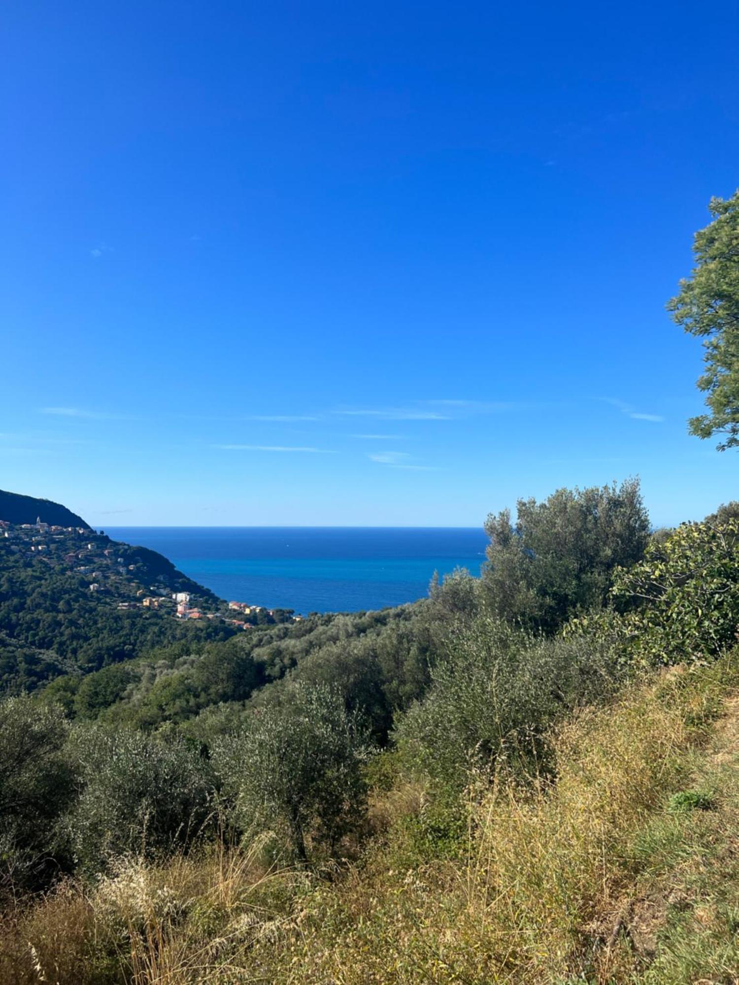 Olivetta House Holiday Монелья Екстер'єр фото